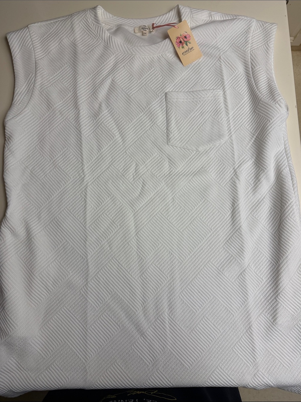 Entro Textured Sleeveless Dress 2X